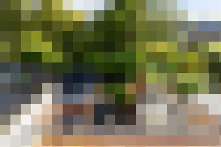 Oranjelaan 27 Vlaardingen thumbnail 27