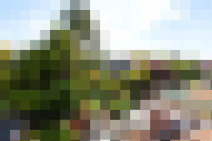 Oranjelaan 27 Vlaardingen thumbnail 28