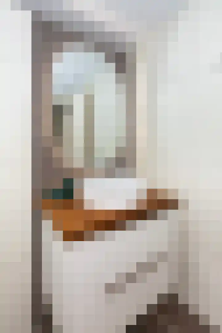 Oranjelaan 27 Vlaardingen thumbnail 31