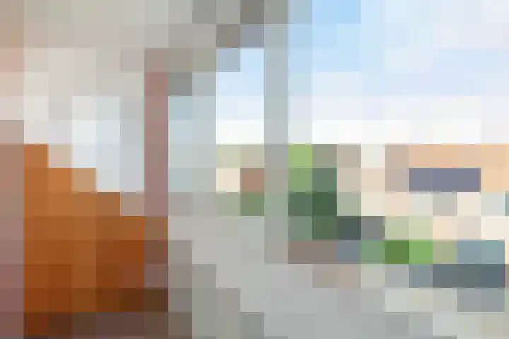 Oranjelaan 27 Vlaardingen thumbnail 38