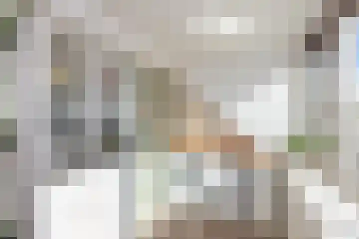 Oranjelaan 27 Vlaardingen thumbnail 39