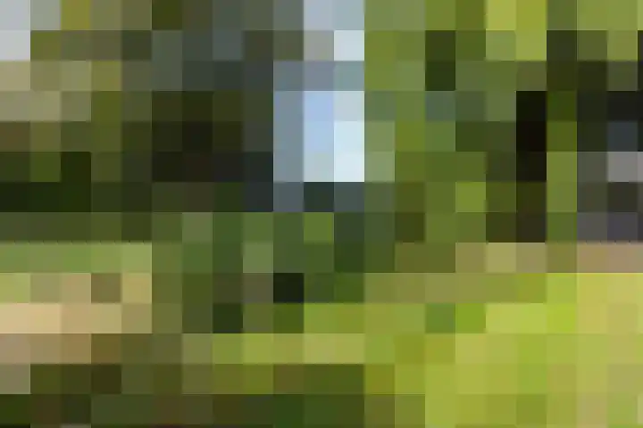 Oranjelaan 27 Vlaardingen thumbnail 45