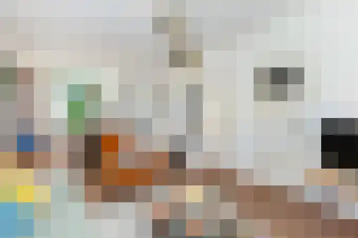 Oranjelaan 27 Vlaardingen thumbnail 8