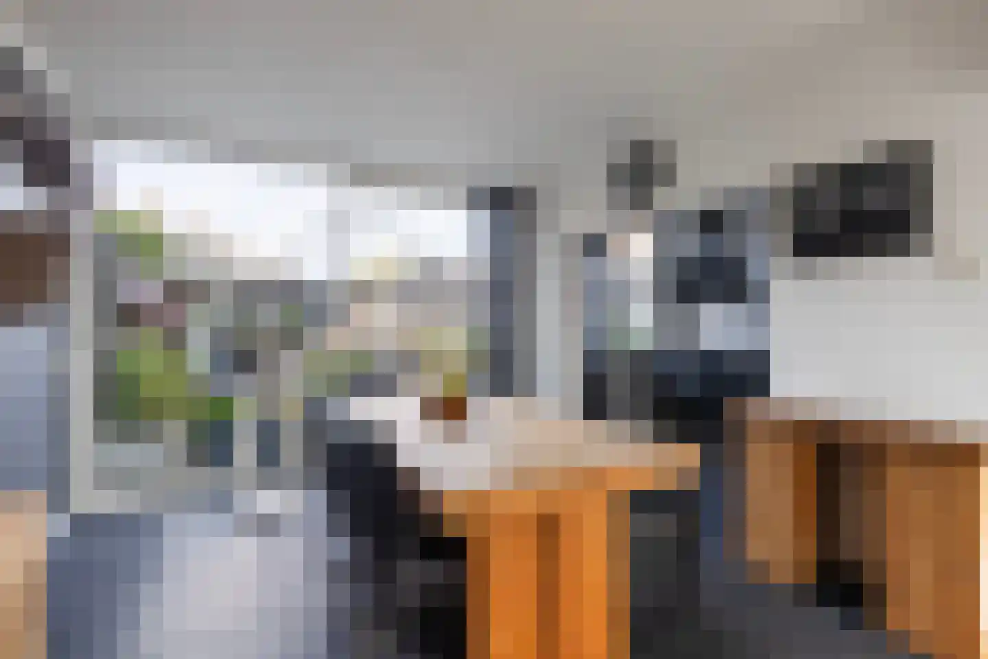 Oranjelaan 28 Rozenburg thumbnail 10