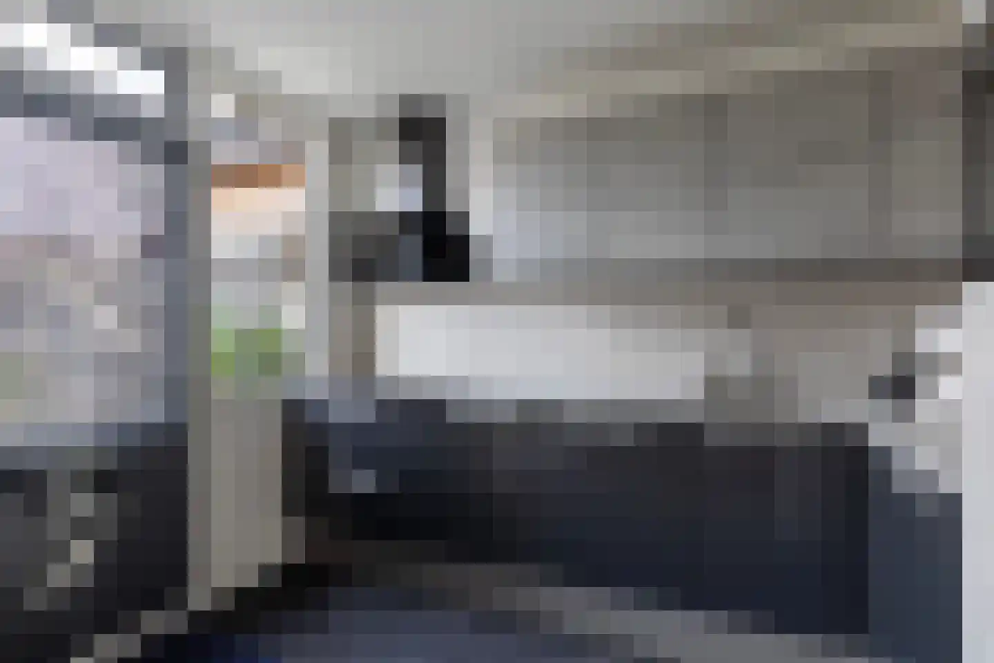 Oranjelaan 28 Rozenburg thumbnail 15