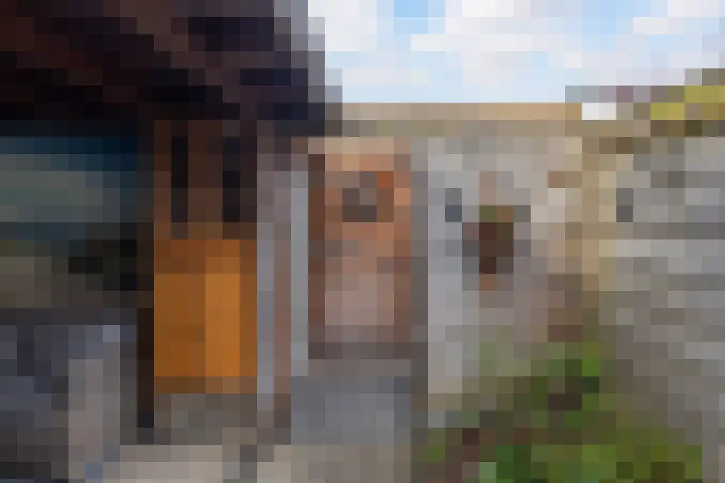 Oranjelaan 28 Rozenburg thumbnail 20