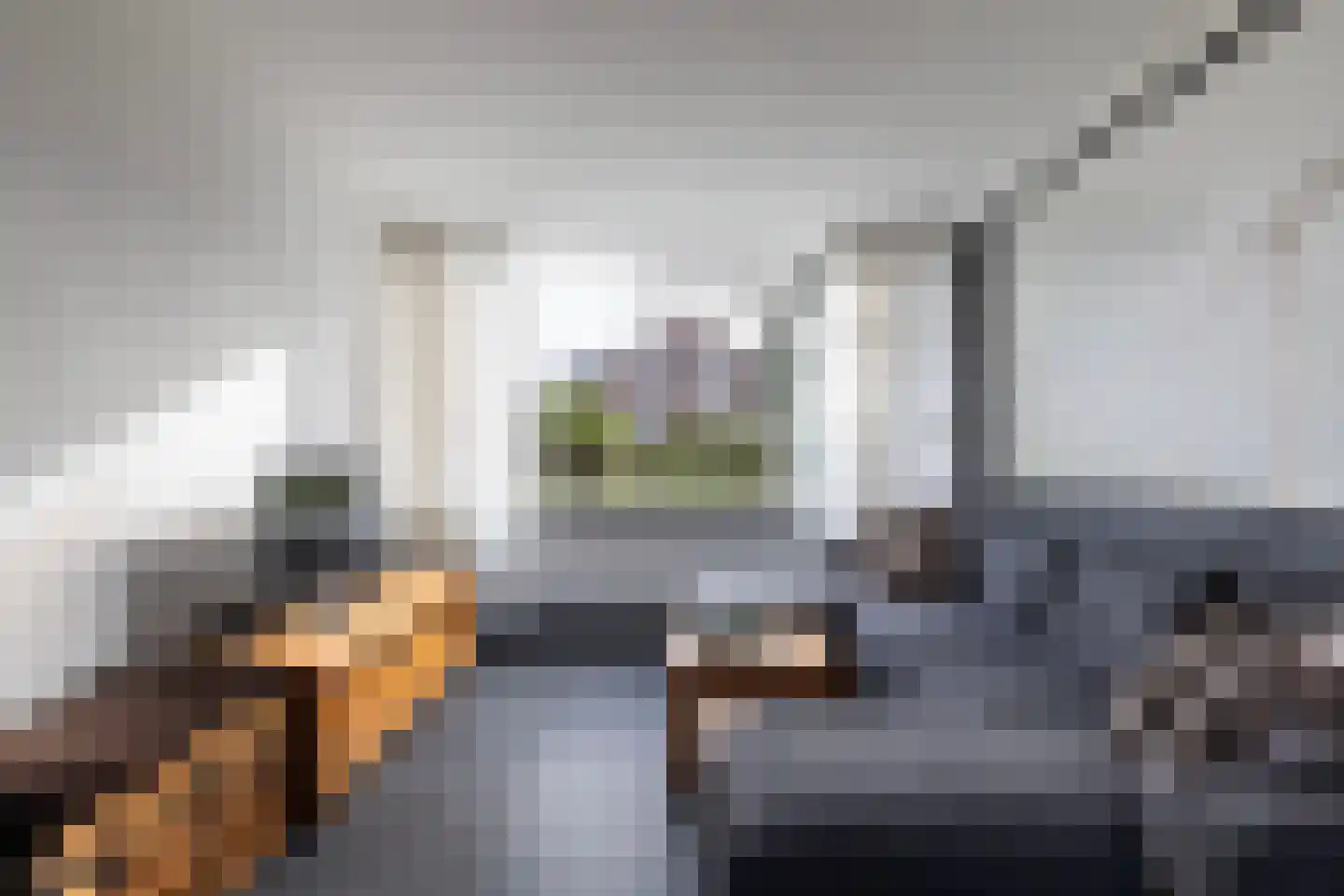 Oranjelaan 28 Rozenburg thumbnail 6
