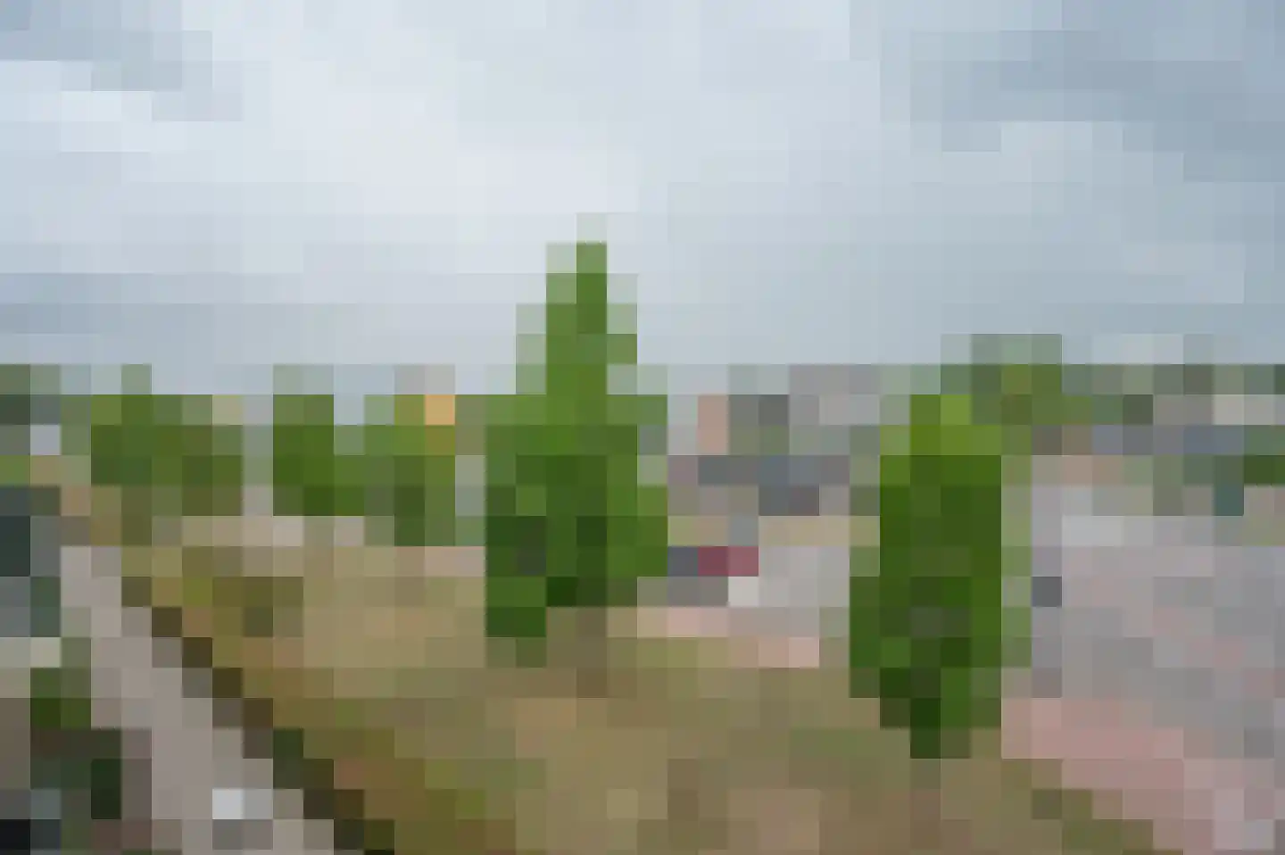 Oranjelaan 28 Zoetermeer thumbnail 11