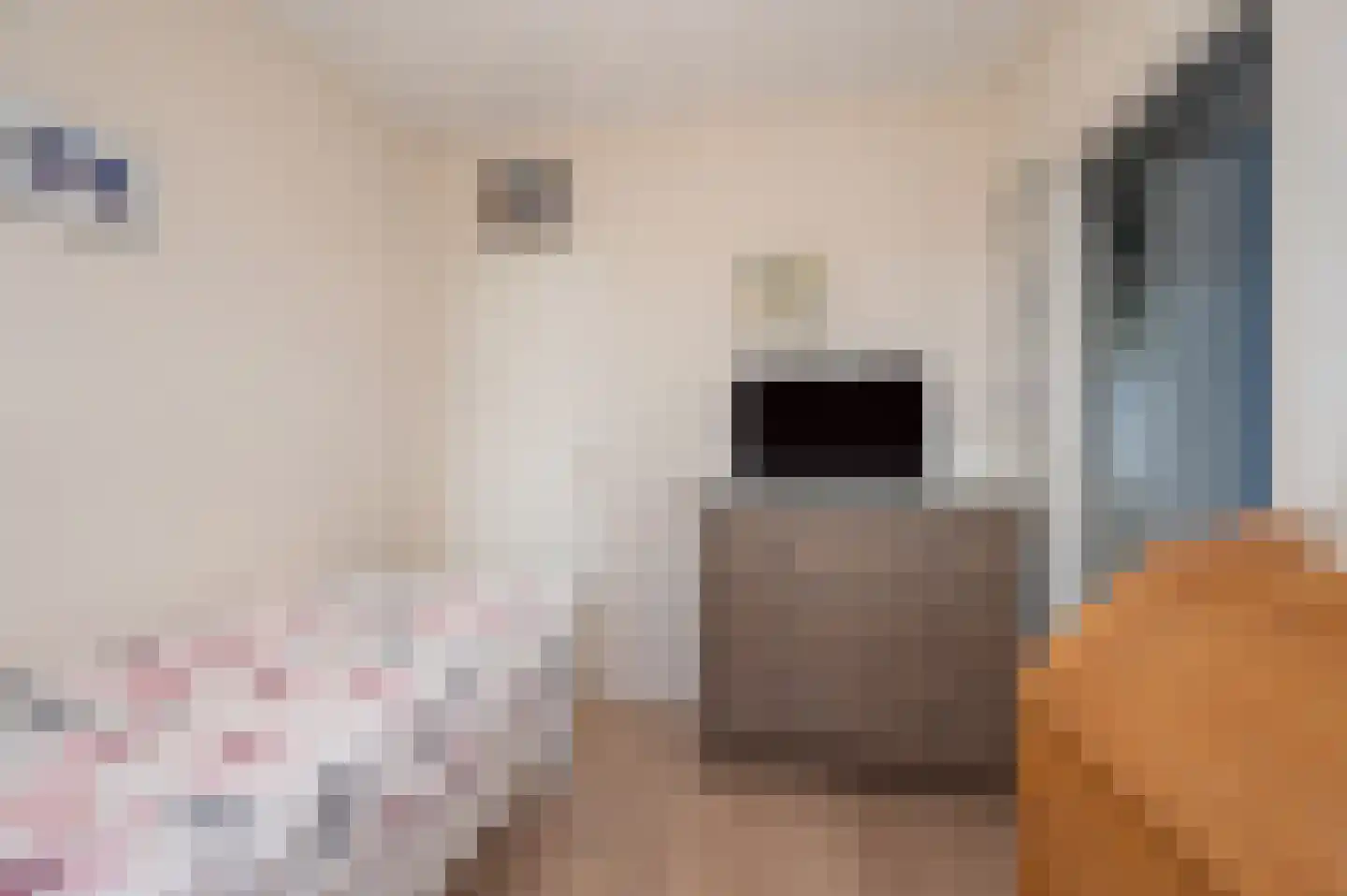 Oranjelaan 28 Zoetermeer thumbnail 20