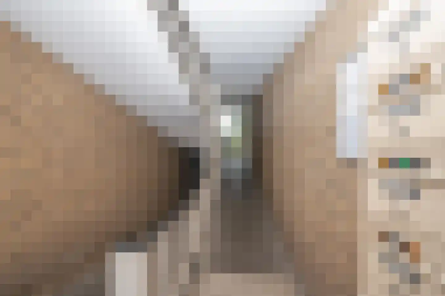 Oranjelaan 28 Zoetermeer thumbnail 24