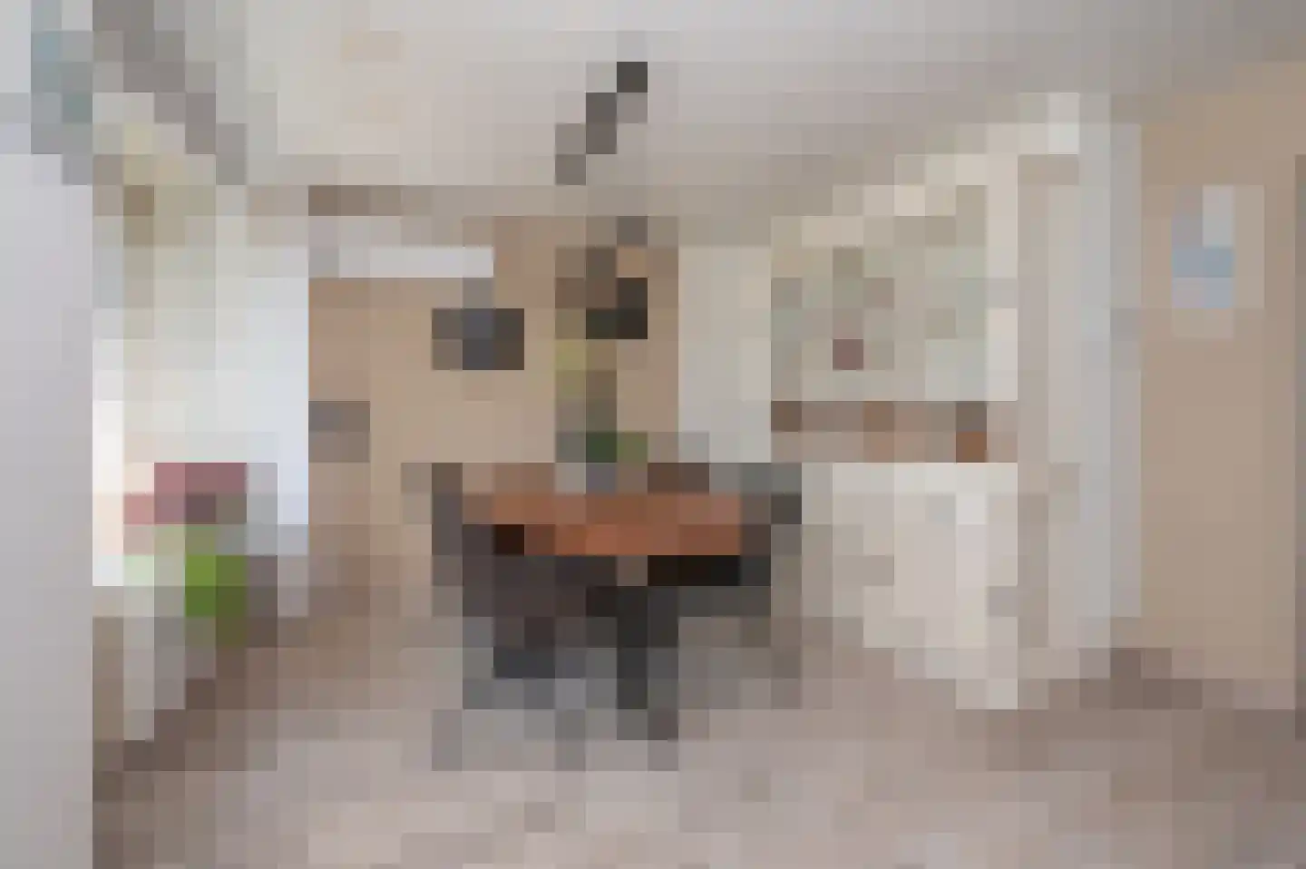 Oranjelaan 28 Zoetermeer thumbnail 5