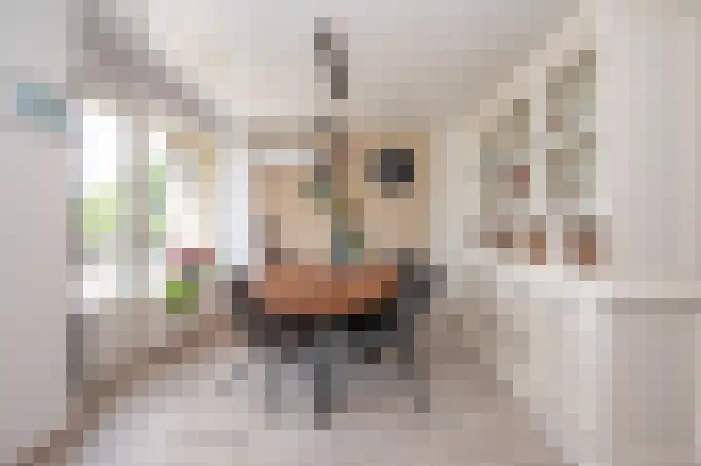 Oranjelaan 28 Zoetermeer thumbnail 6