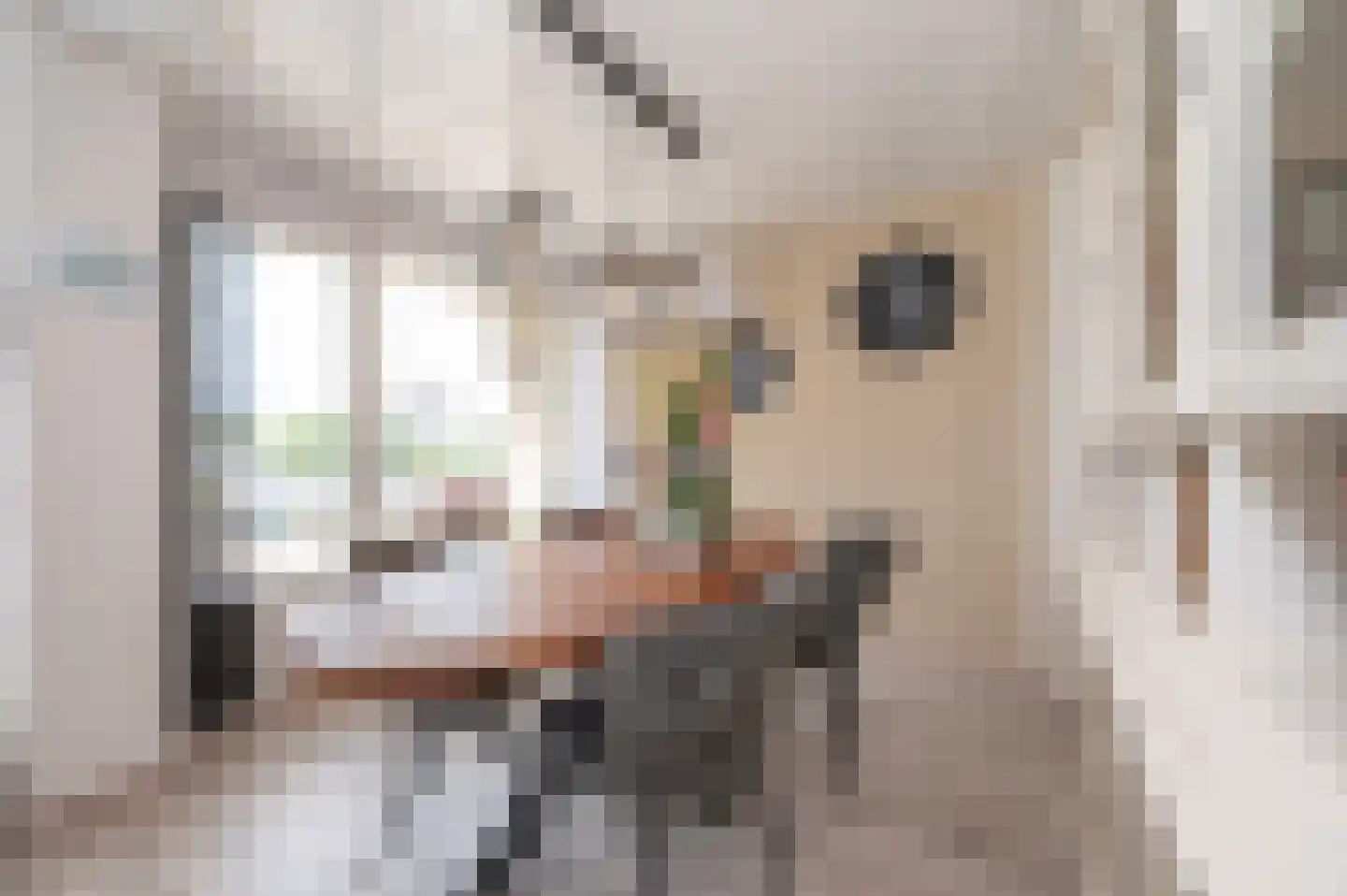 Oranjelaan 28 Zoetermeer thumbnail 7