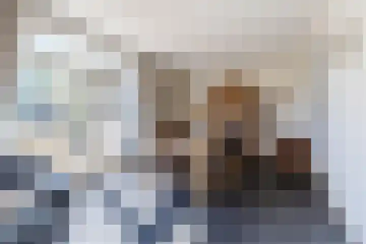 Oranjelaan 29 Maasbracht thumbnail 27
