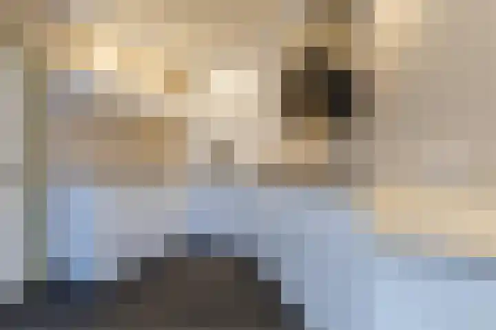 Oranjelaan 29 Maasbracht thumbnail 31