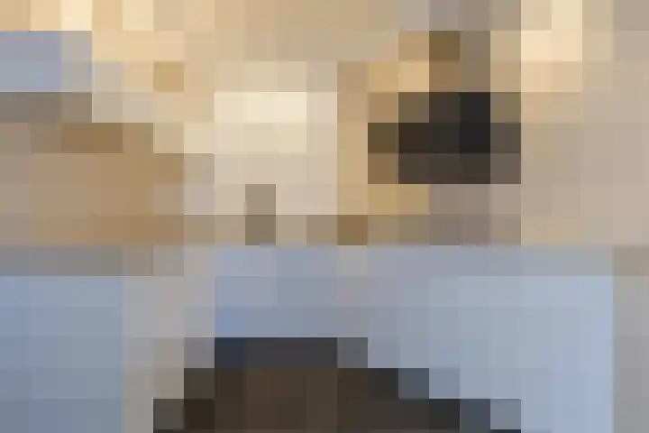 Oranjelaan 29 Maasbracht thumbnail 32