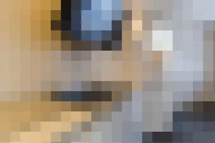 Oranjelaan 29 Maasbracht thumbnail 34