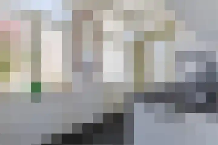 Oranjelaan 29 Maasbracht thumbnail 39