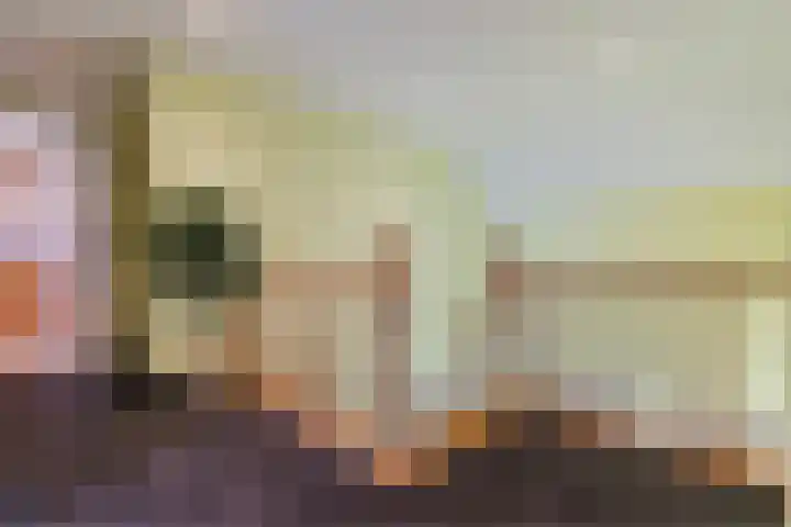 Oranjelaan 29 Maasbracht thumbnail 53