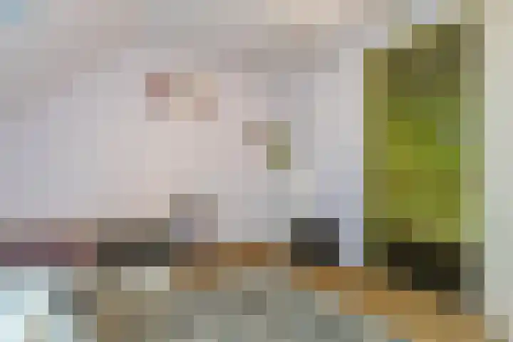 Oranjelaan 29 Maasbracht thumbnail 67