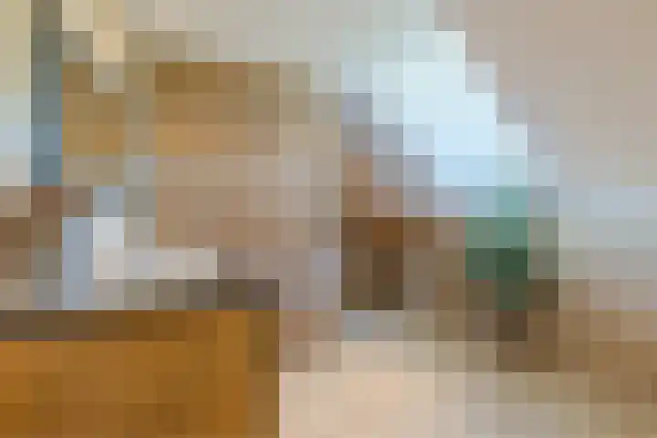 Oranjelaan 29 Maasbracht thumbnail 72
