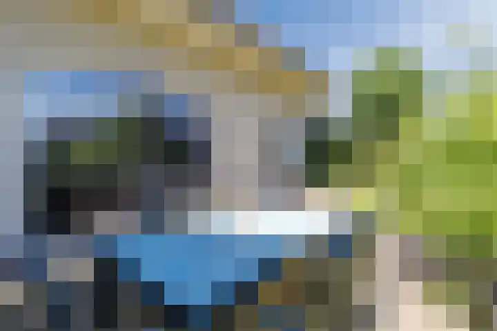 Oranjelaan 29 Maasbracht thumbnail 78