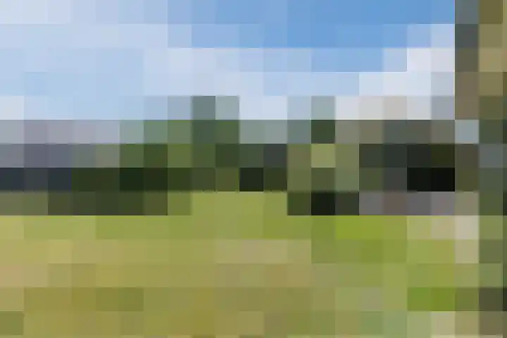 Oranjelaan 29 Maasbracht thumbnail 79