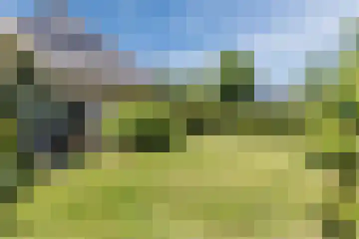 Oranjelaan 29 Maasbracht thumbnail 81