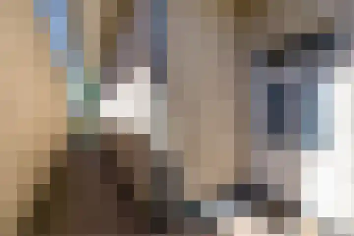 Oranjelaan 29 Maasbracht thumbnail 83