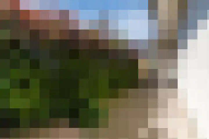 Oranjelaan 29 Maasbracht thumbnail 84