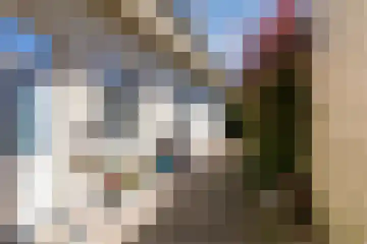 Oranjelaan 29 Maasbracht thumbnail 85