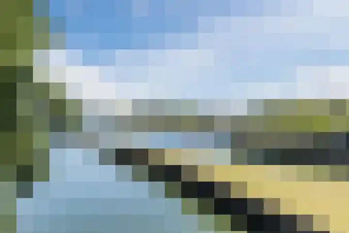 Oranjelaan 29 Maasbracht thumbnail 86
