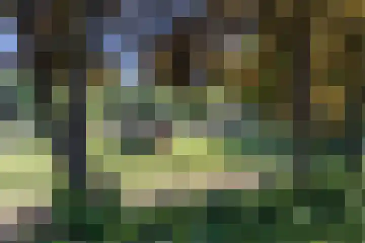 Oranjelaan 29 Maasbracht thumbnail 88