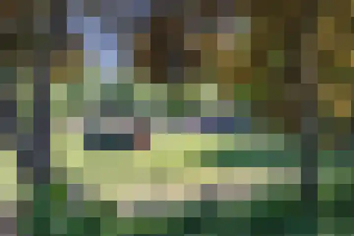 Oranjelaan 29 Maasbracht thumbnail 89