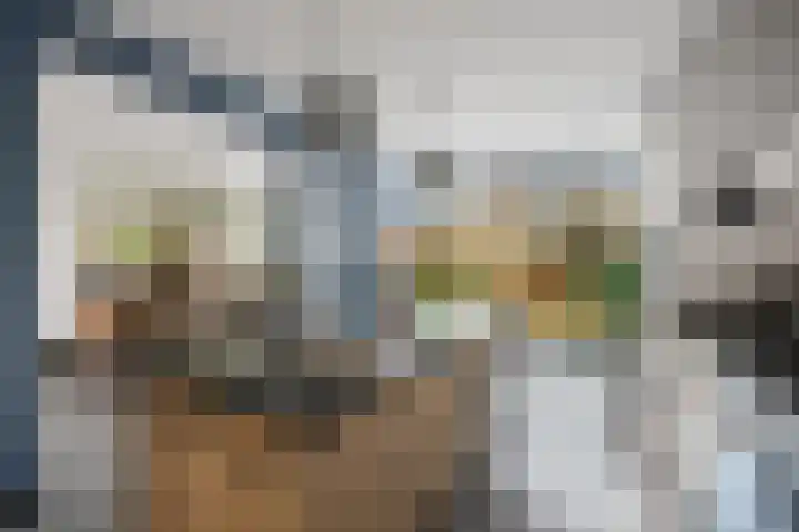 Oranjelaan 29 Rotterdam thumbnail 11