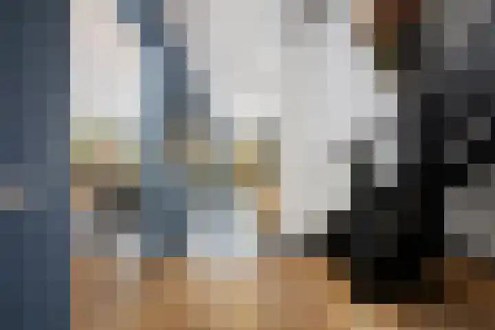 Oranjelaan 29 Rotterdam thumbnail 18
