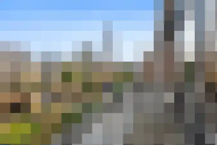 Oranjelaan 29 Rotterdam thumbnail 27