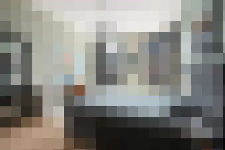 Oranjelaan 29 Rotterdam thumbnail 28