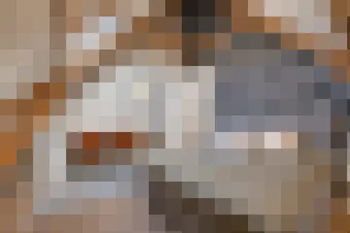 Oranjelaan 29 Rotterdam thumbnail 34