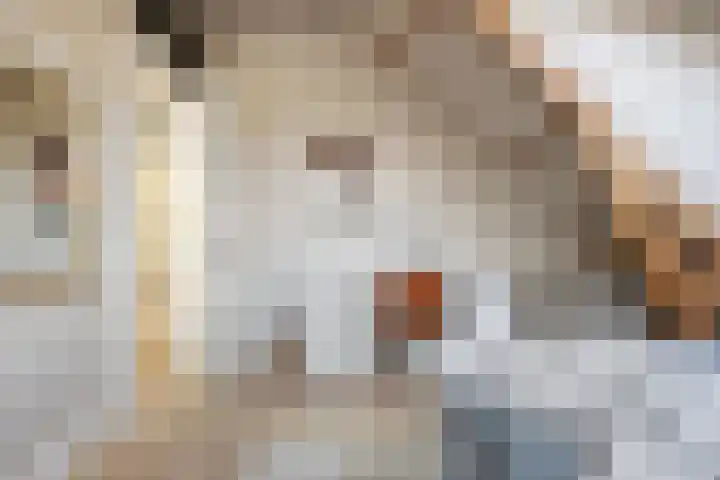 Oranjelaan 29 Rotterdam thumbnail 38