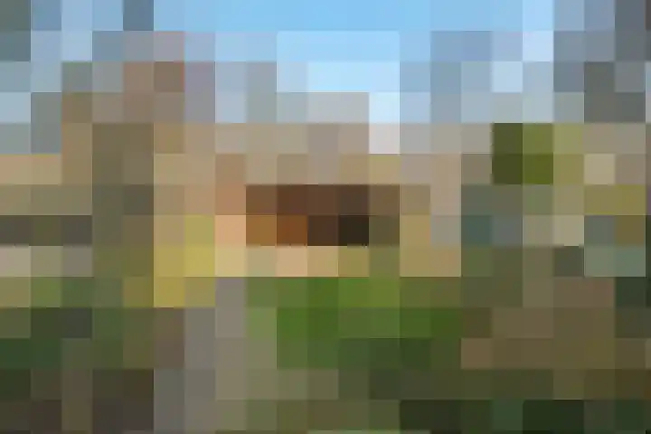 Oranjelaan 29 Rotterdam thumbnail 49