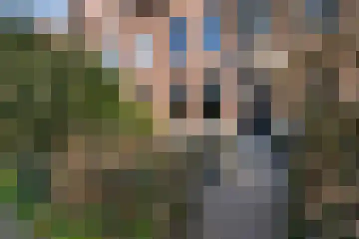 Oranjelaan 29 Rotterdam thumbnail 52