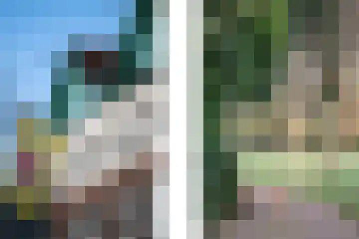 Oranjelaan 29 Rotterdam thumbnail 56