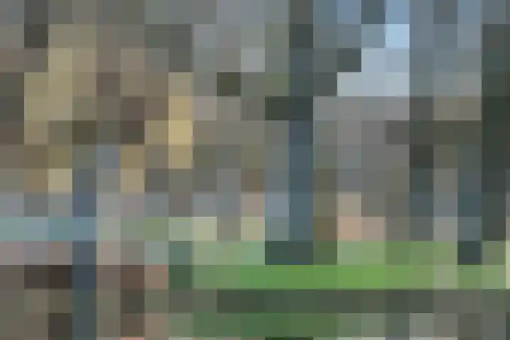 Oranjelaan 29 Rotterdam thumbnail 58