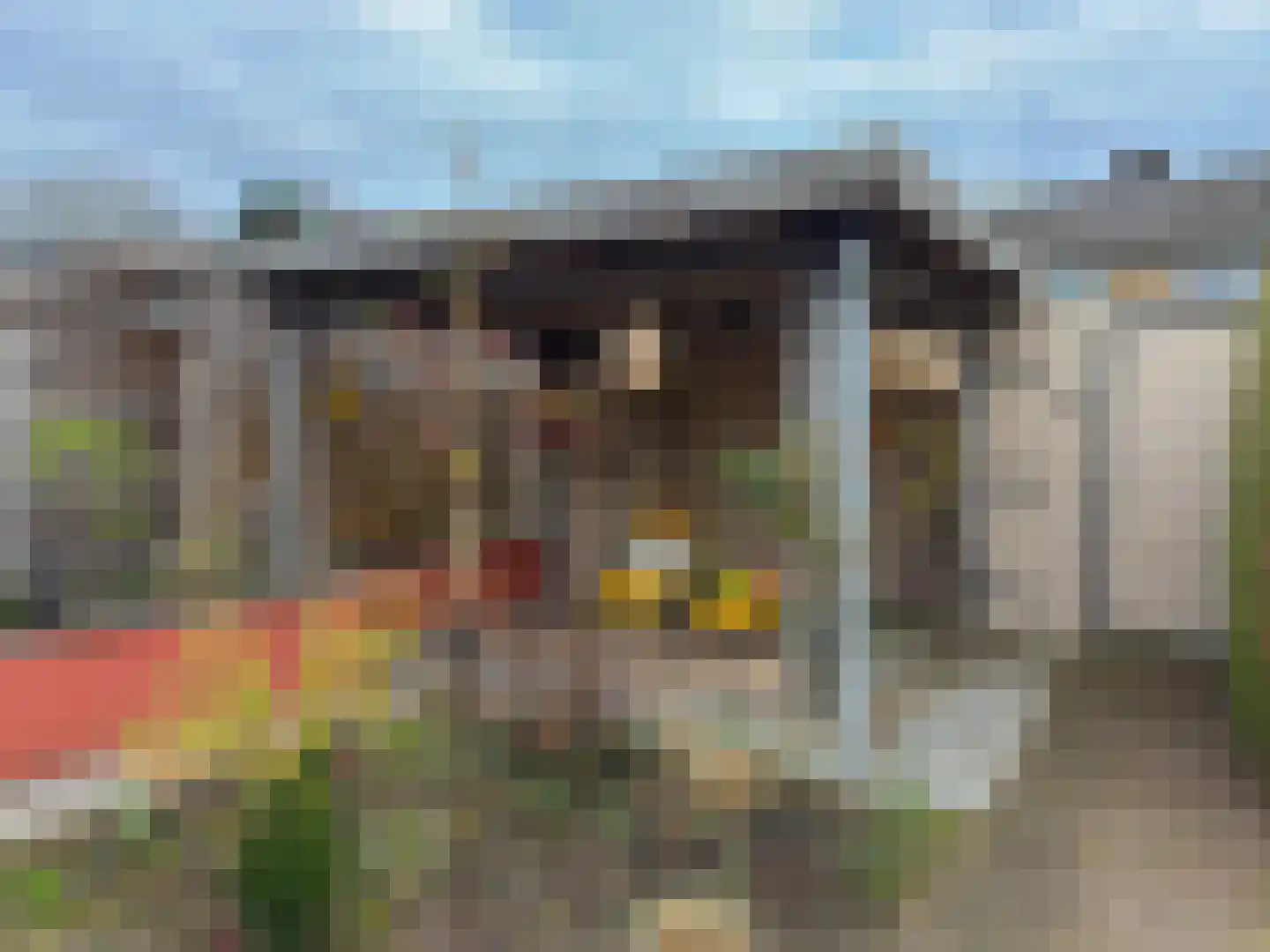 Oranjelaan 3 Amerongen thumbnail 19