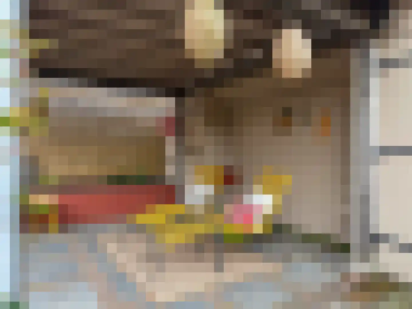 Oranjelaan 3 Amerongen thumbnail 20