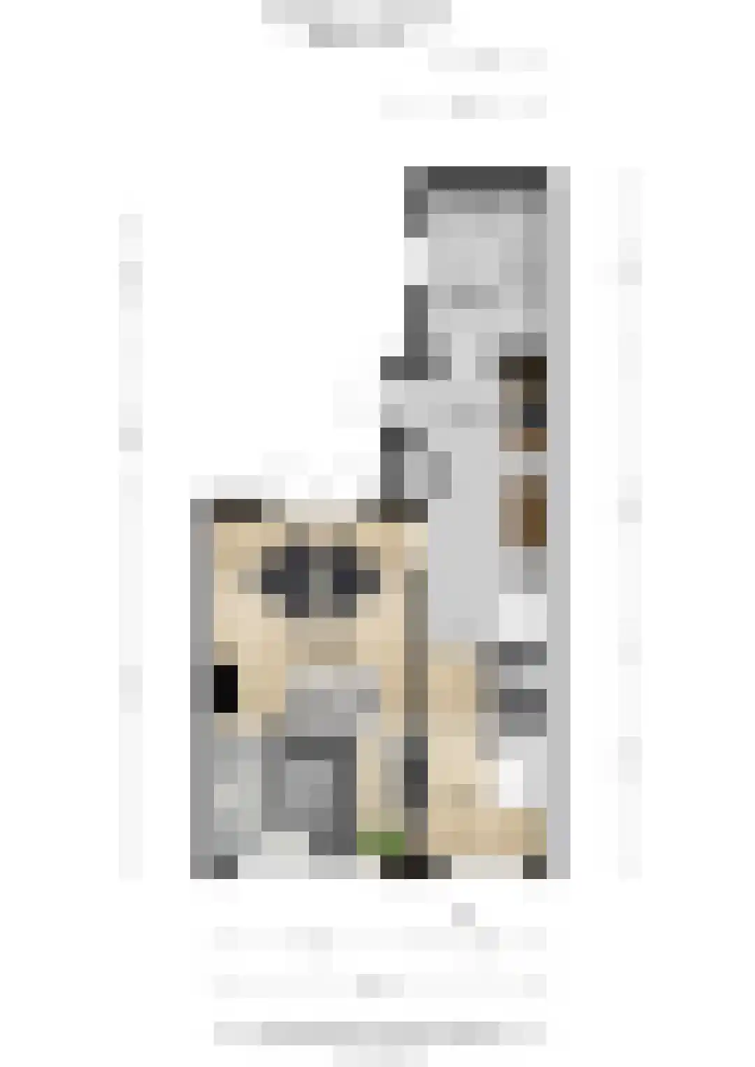 Oranjelaan 3 Amerongen thumbnail 21