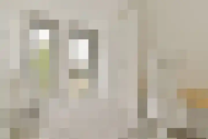 Oranjelaan 3 D 1 Dordrecht thumbnail 11