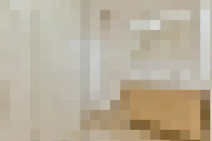 Oranjelaan 3 D 1 Dordrecht thumbnail 18