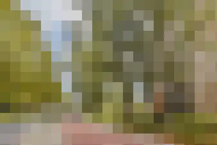 Oranjelaan 3 D 1 Dordrecht thumbnail 20